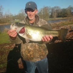 Profile Picture of Scott Schneider (@scottschneider977) on Tiktok