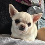 Profile Picture of Renstagram (@richard_m_renwick) on Instagram
