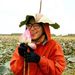 Profile Picture of Lysa Nguyễn (@luutrang16) on Pinterest
