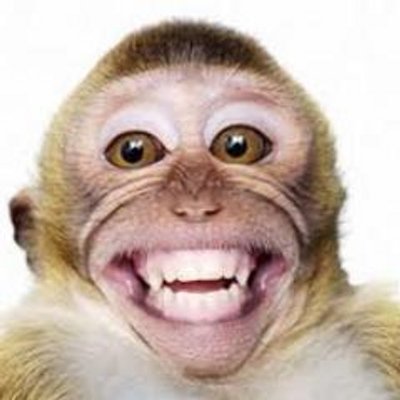 Profile Picture of Michael Stevens (@3rdHussar) on Twitter