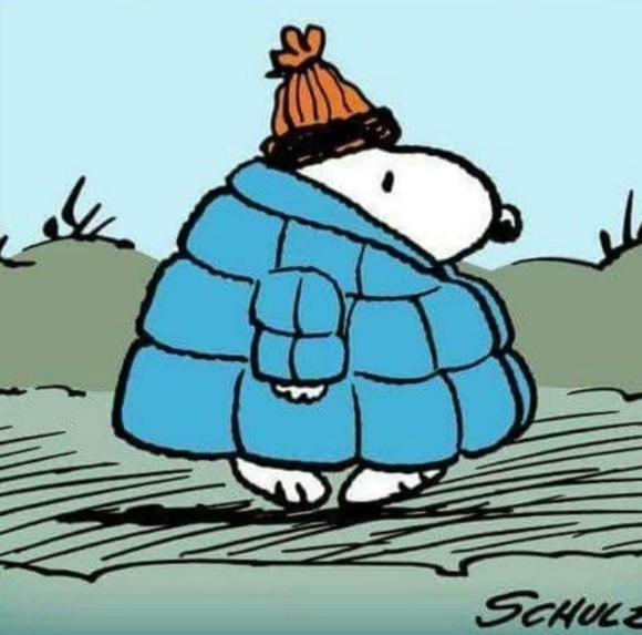 Profile Picture of Joseangel Siller (@siller62) on Poshmark