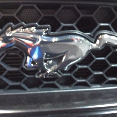 Profile Picture of Scott Haines (@shaines5902) on Twitter