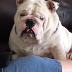 Profile Picture of Keith Cochenour (@keith.cochenour.5) on Facebook