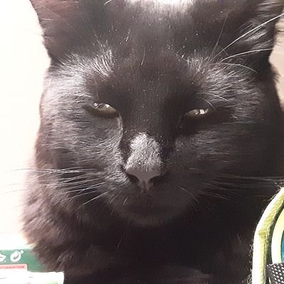 Profile Picture of Nathan Havens (@NathanHavens4) on Twitter