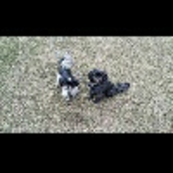 Profile Picture of Todd Paulson (@tmpguard) on Poshmark