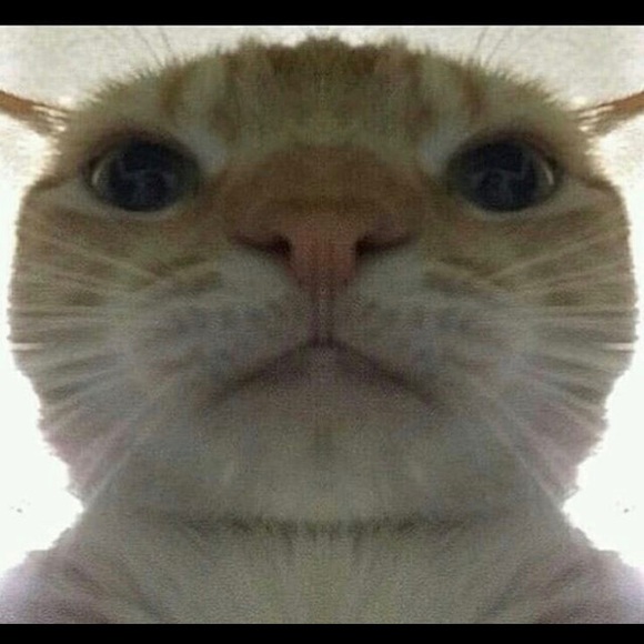 Profile Picture of Camille Allaire (@vanillacap) on Poshmark