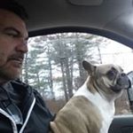 Profile Picture of Joseph Yerardi (@joeyerardi) on Instagram