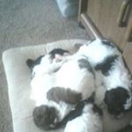 Profile Picture of Christine Lantz (@christine.lance47) on Instagram