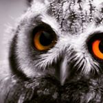 Profile Picture of Joseph Giddens (@joes.truth) on Instagram