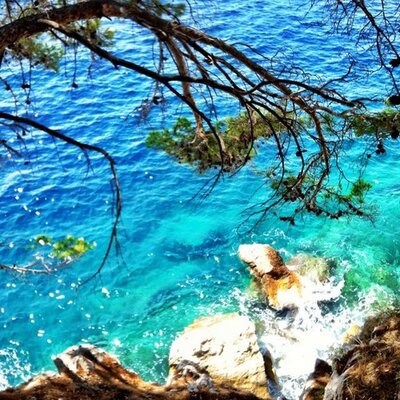 Profile Picture of Renee Tang (@reneetang_5) on Twitter