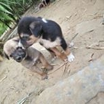 Profile Picture of Jordon Christopher White (@i_drink_water_n_sweat_out_ice) on Instagram