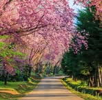 Profile Picture of Michael Dionne (@Michael-Dionne) on Facebook