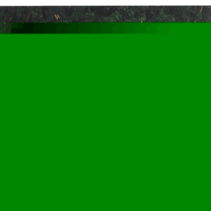 Profile Picture of Mac Mullins (@ineedmoremac) on Myspace