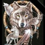 Profile Picture of Steven Shultz (@steven.shultz.509) on Instagram