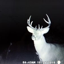 Profile Picture of James Stivers (@jdstivers88) on Twitter