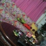 Profile Picture of Janus Jerome Satina (@satinaaajanus) on Instagram