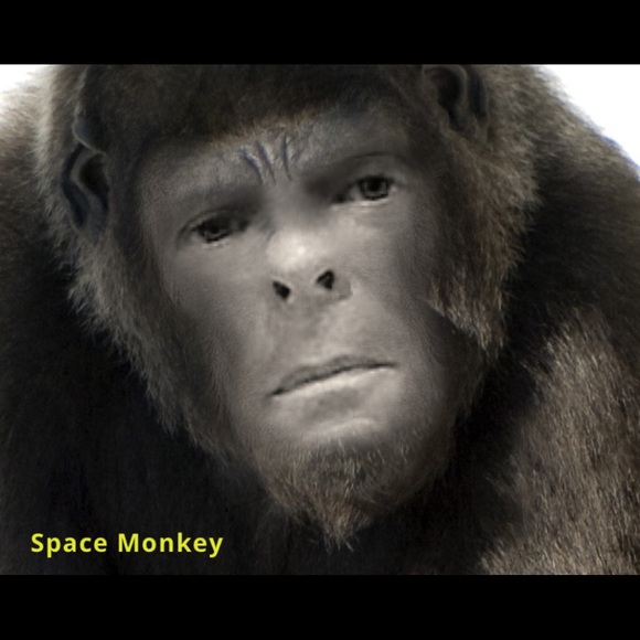 Profile Picture of Lloyd Corricelli (@roninent1) on Poshmark