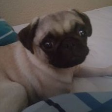 Profile Picture of Sam Hubbard (@samhubbard95) on Twitter