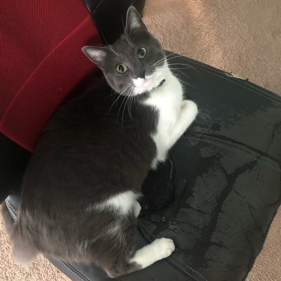 Profile Picture of Jalyssa Alejos (@jalyssaalejos) on Poshmark