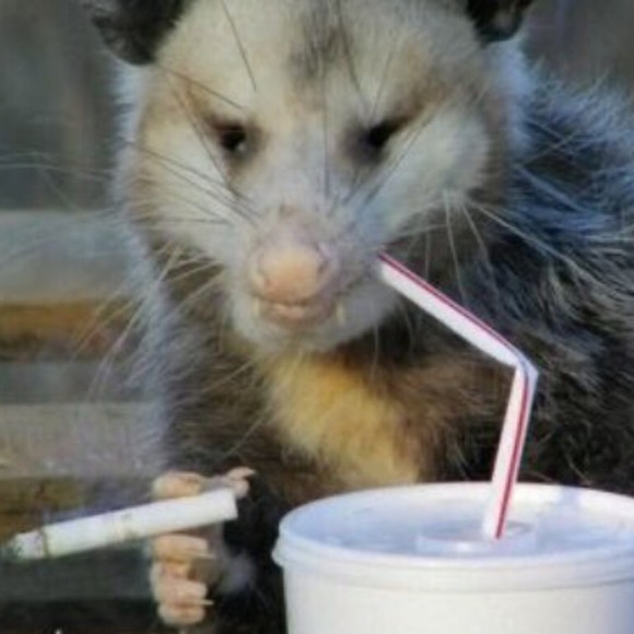 Profile Picture of Makayla Matthews (@trashaccountidk) on Poshmark