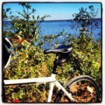 Profile Picture of Chris  Hudnall (@chubstm) on Instagram