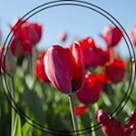 Profile Picture of Gregory Uren (@greggiepops) on Instagram