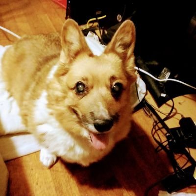 Profile Picture of Vicki Hansen (@VickiHa04734714) on Twitter