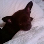 Profile Picture of Debbie Alexander (@debbie.alexander.12935) on Instagram