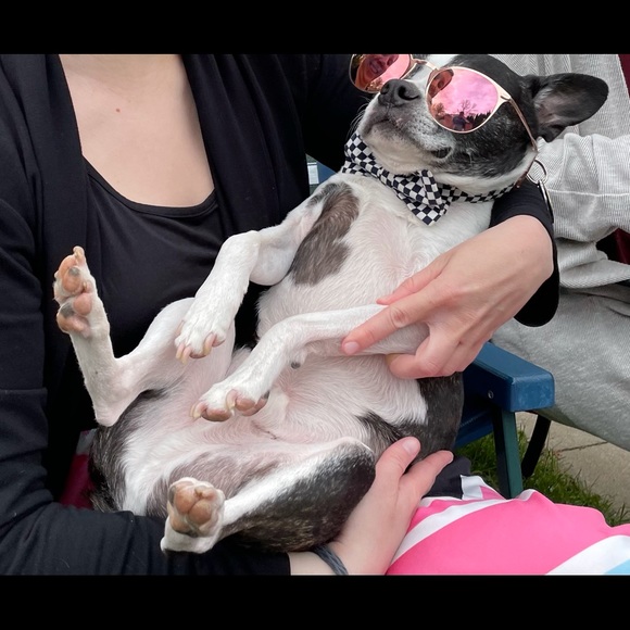 Profile Picture of Lindsey Mischka (@lindseymischka) on Poshmark