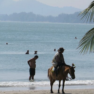 Profile Picture of Ray Searle (@searlie4) on Twitter