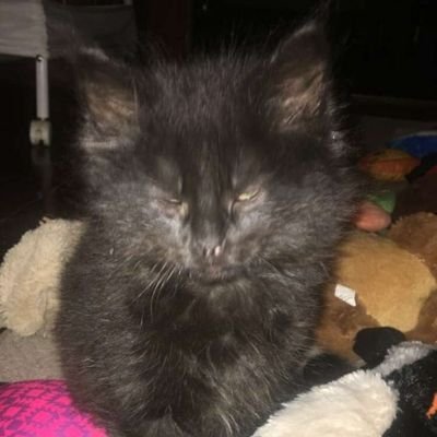 Profile Picture of Marc Oatman (@OatmanMarc) on Twitter