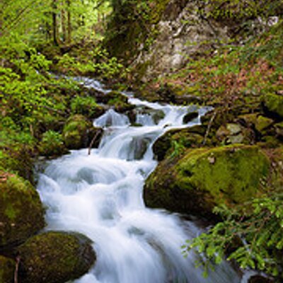 Profile Picture of Barbara Wiley (@WileyWiley45) on Twitter