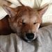 Profile Picture of Eric Mays (@cmhohguy) on Pinterest