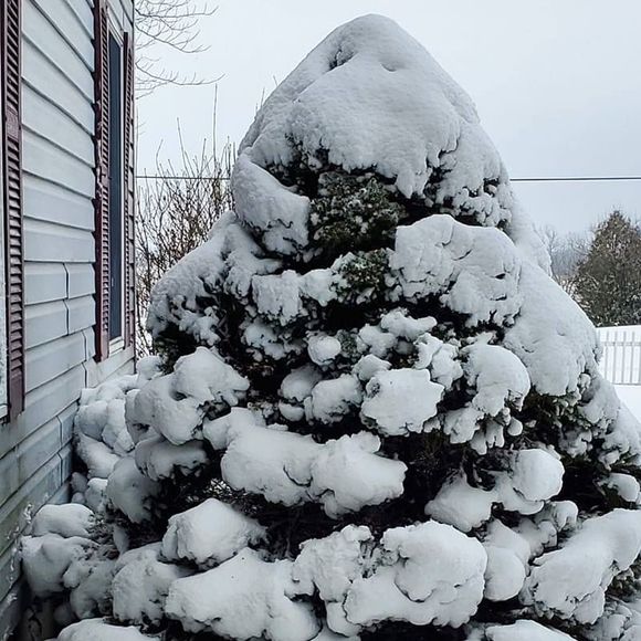 Profile Picture of Debbie Merrix (@dmerrix1959) on Poshmark