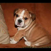 Profile Picture of Matthew Remington (@mattrem) on Youtube