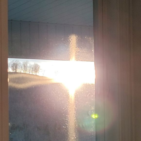 Profile Picture of Michele Myslinski (@mmski26) on Poshmark