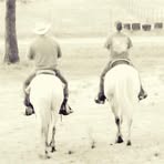 Profile Picture of Crystal Sutton (@cryssierosewhite) on Facebook