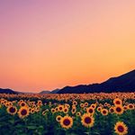 cheyanne pace - Instagram Profile Picture of cheyanne pace (@cheyanne.pace) on Instagram