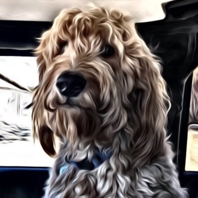 Profile Picture of Mike Quimby (@quimbym12) on Twitter