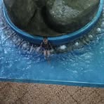 Profile Picture of Emily Pernia (@emily.pernia.969641) on Facebook