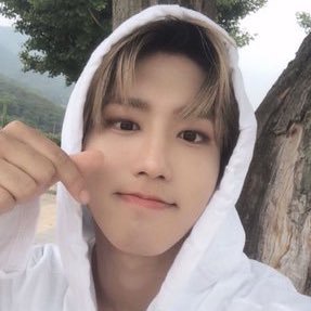 Profile Picture of Leah Callahan (@ostrichjeong97) on Twitter