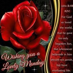 Profile Picture of davidkwasianin (@davidkwasianin) on Tiktok