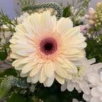 Profile Picture of Shelly Trotter (Johnson) (@shelly.trotter.129) on Facebook