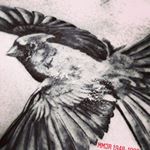 Profile Picture of Tim Monroe (@t.c.monroe) on Instagram