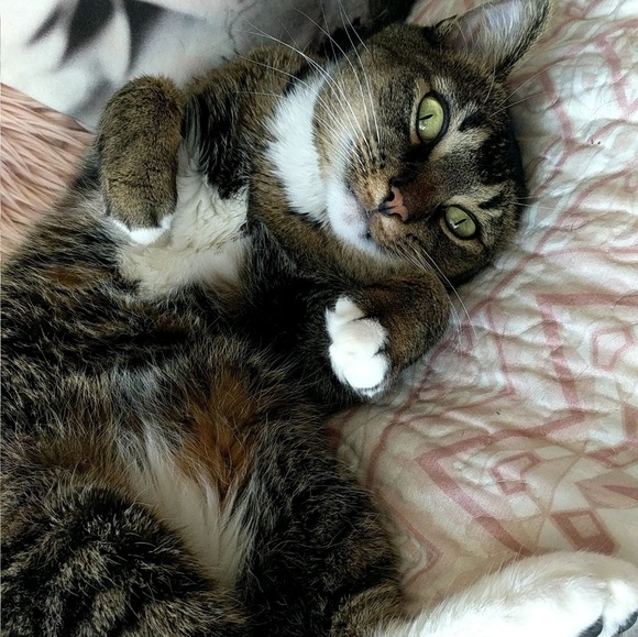 Profile Picture of Alyssa Catlow (@alyssacatlow) on Poshmark