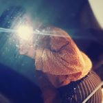 Profile Picture of 𝒯𝒽𝑜𝓂𝒶𝓈 𝐸𝓍𝓁𝑒𝓎 (@pqrtyfavor_) on Instagram