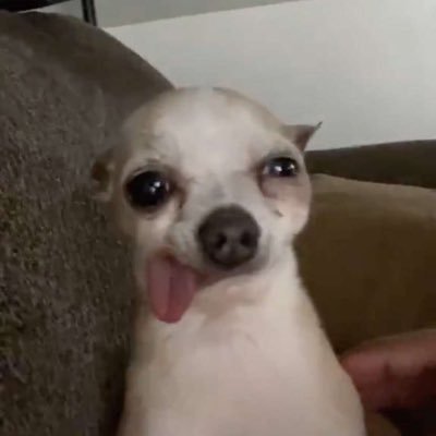 Profile Picture of Vince Jackson (@leodisvincent) on Twitter