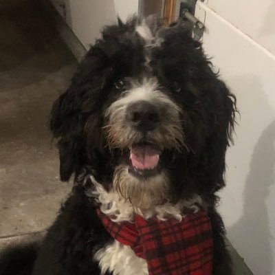 Profile Picture of Jp (@JoePackGo) on Twitter