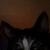 Profile Picture of Debra Steele (@254970898) on Myspace