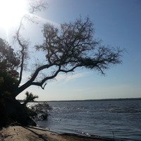 Profile Picture of Brian Sprole (@brian-sprole) on Quora